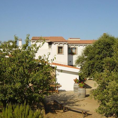 Agriturismo Vermentino Monti Exterior photo