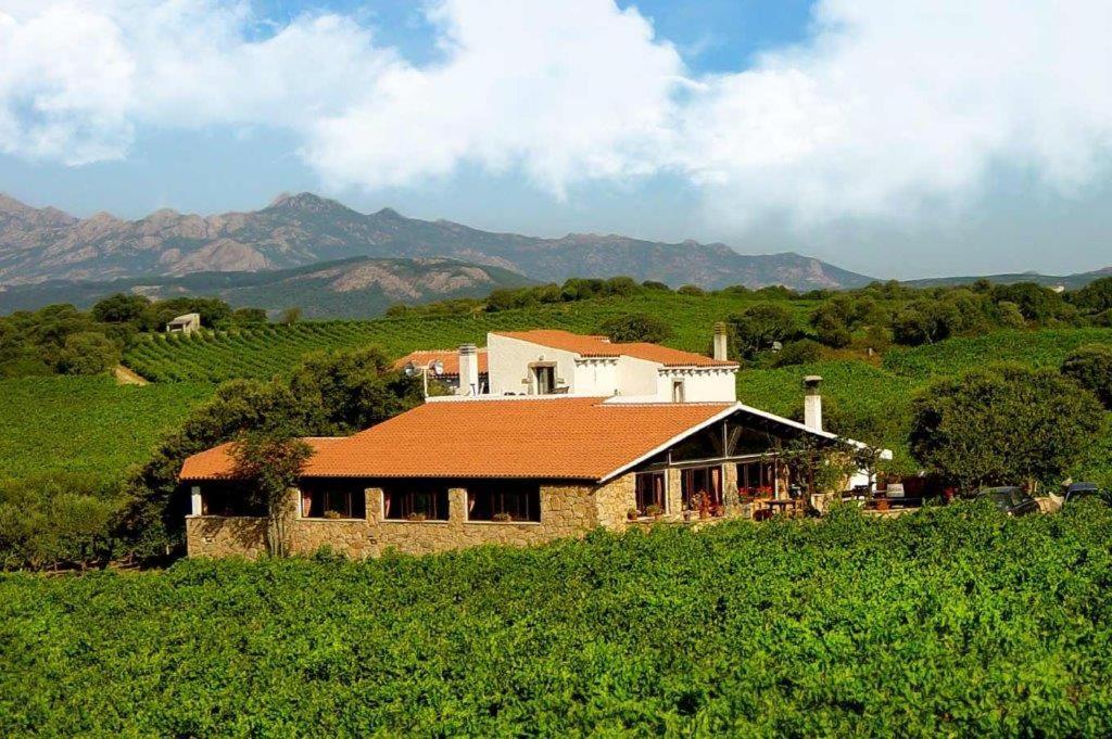Agriturismo Vermentino Monti Exterior photo