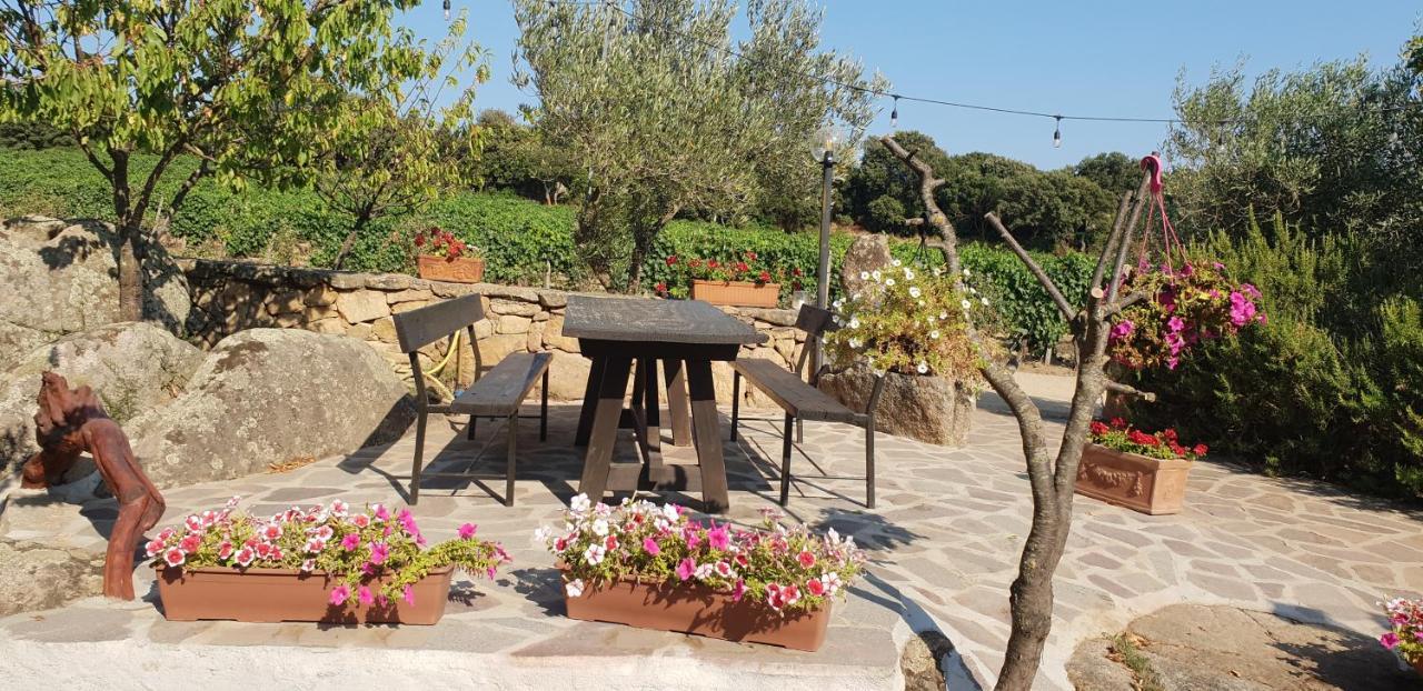 Agriturismo Vermentino Monti Exterior photo